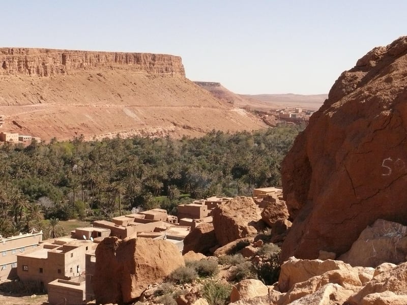 Fabled Oasis