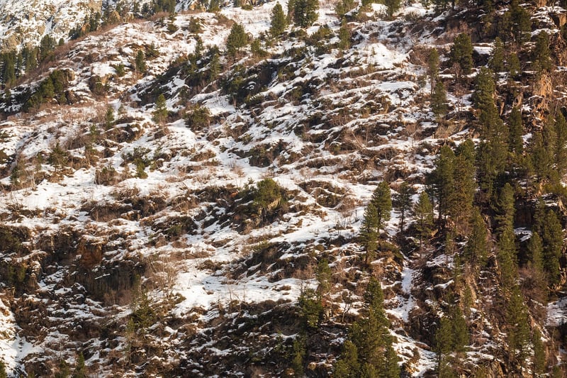 Hidden Refuge Landscape